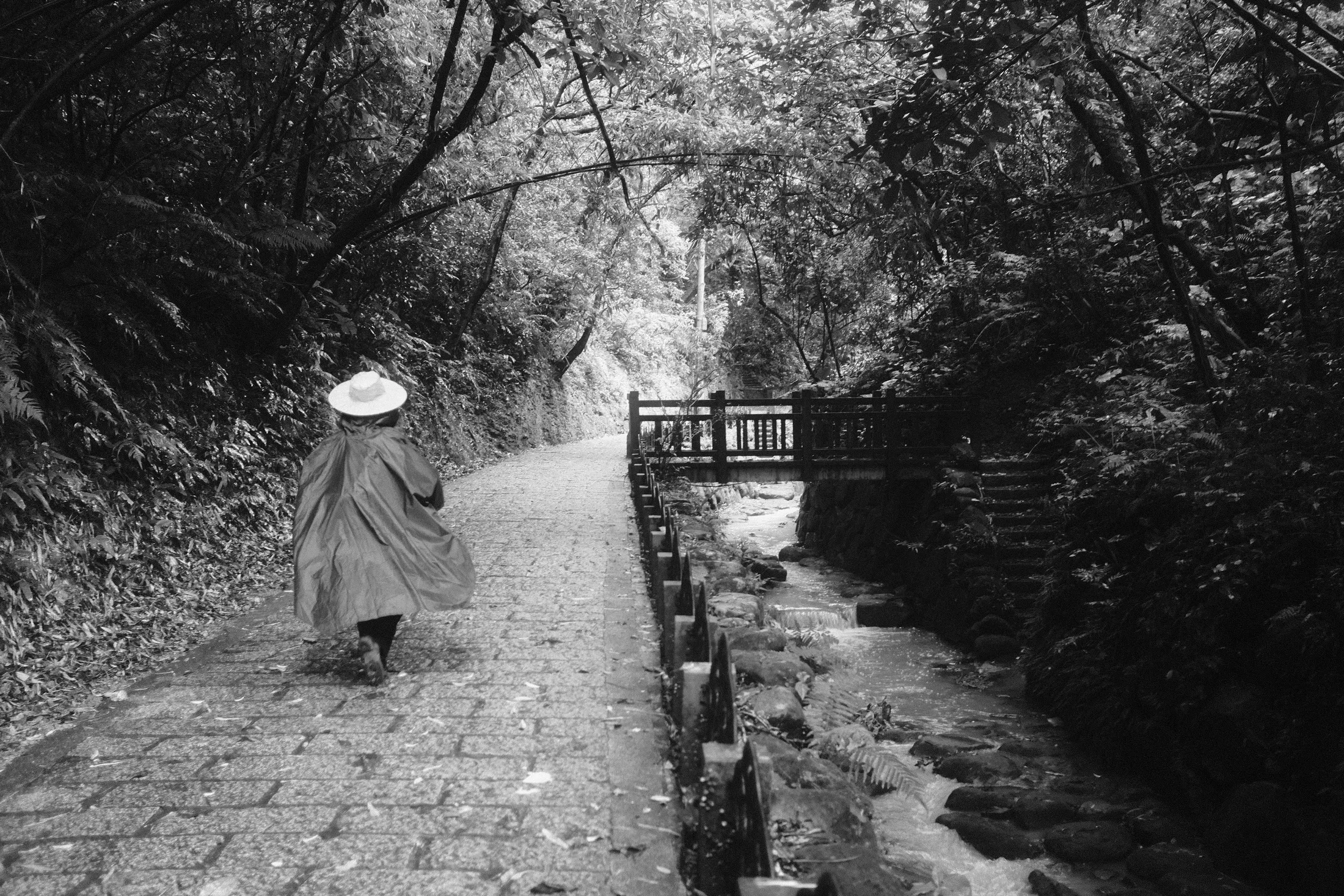 戴斗笠的僧侶獨行於山中小徑，365 Project July 20