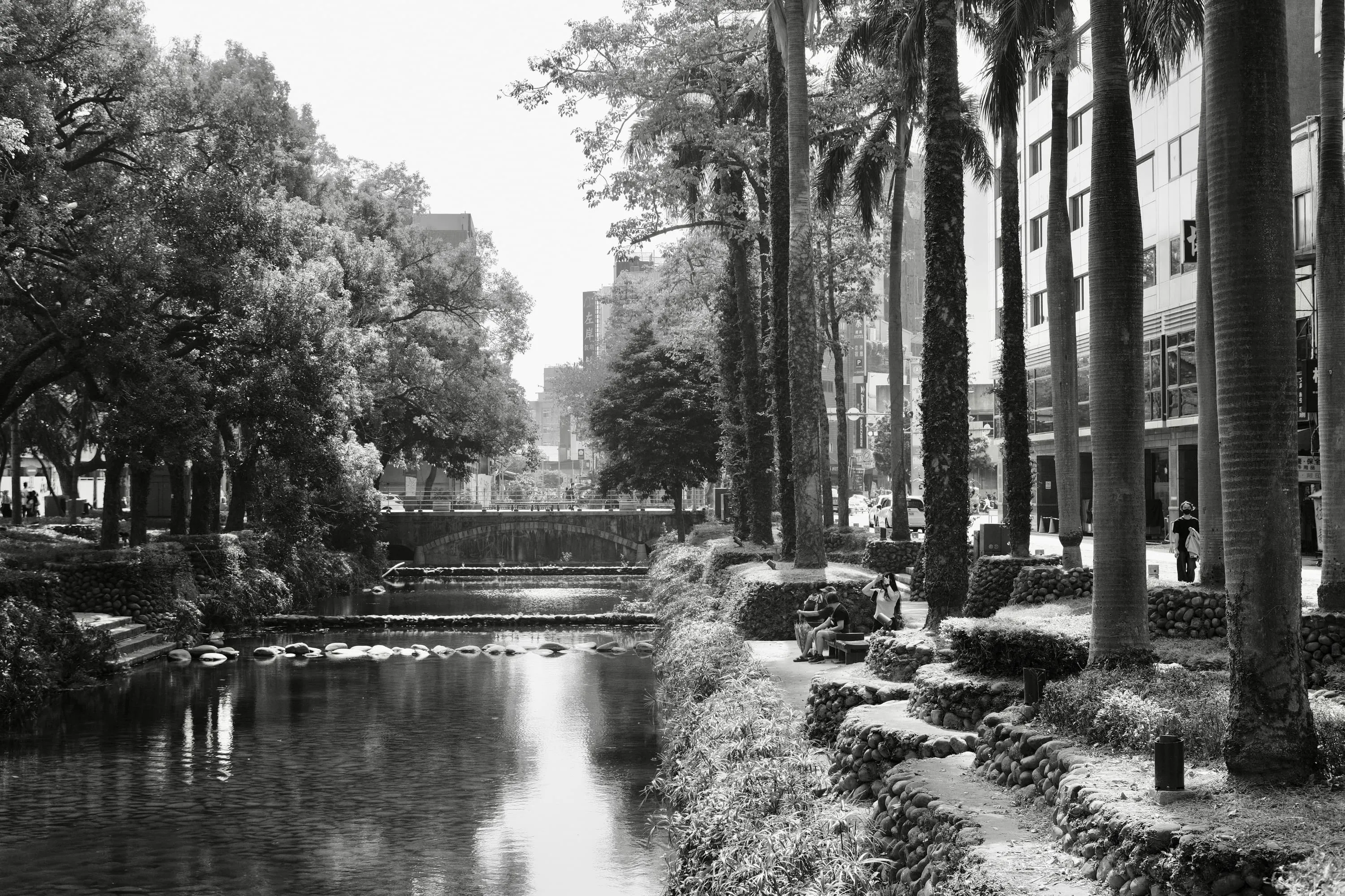 城市親水河道兩旁綠樹成林，高大椰子樹與疊石護岸邊遊客坐在步道石椅上享受水景，365 Project December 5