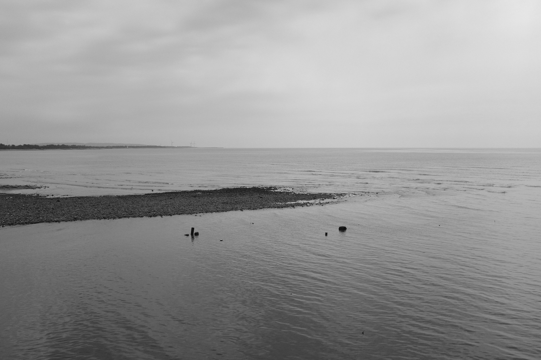 Minimal black and white seascape of Taiwan's intertidal coast with calm water and low distant shoreline