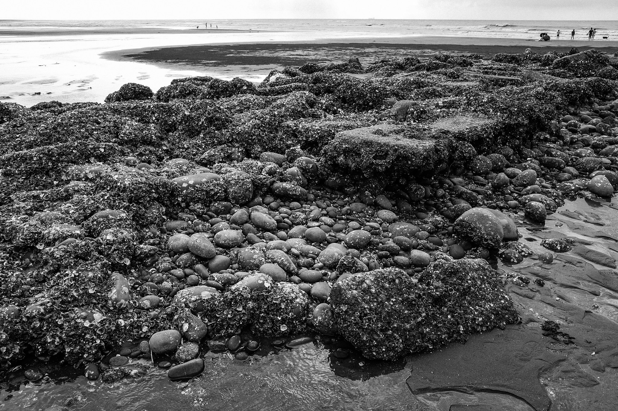 Black and white intertidal shoreline with rocks, tide pools, and a low horizon in Taiwan