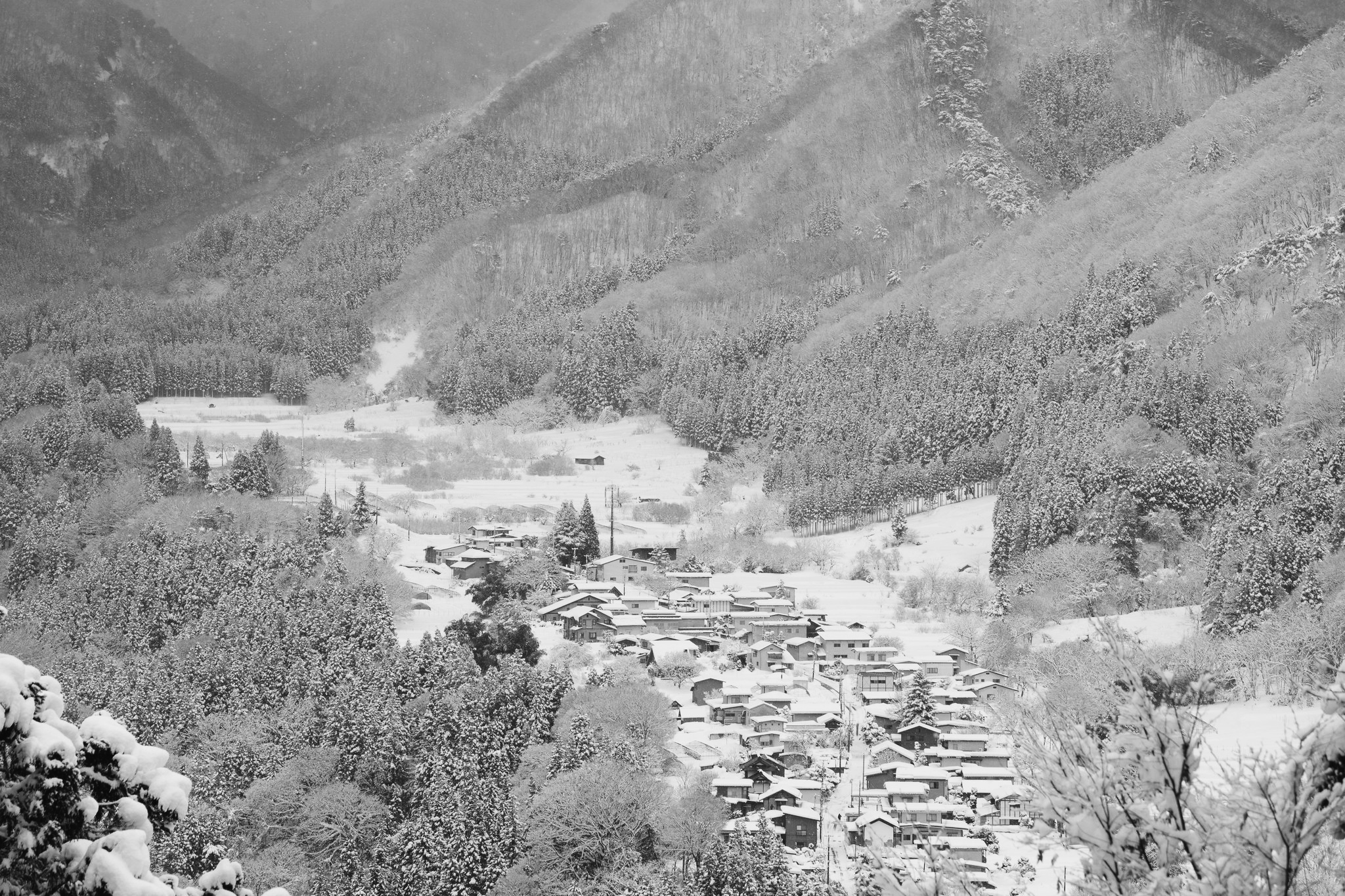 Black and white snow-covered Japanese mountain village spread across a wooded valley beneath a misty hillside