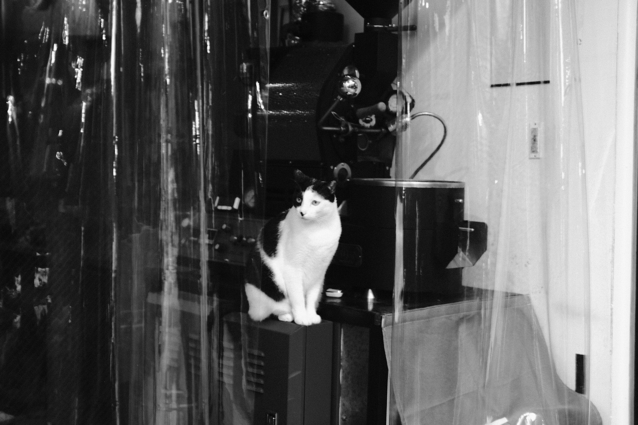 Vibrant street market colors of Keelung under a grey port city sky